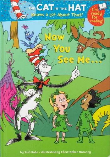 Now You See Me…